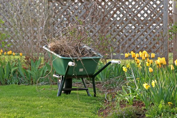 Flower Bed Cleanup Service in Suwanee