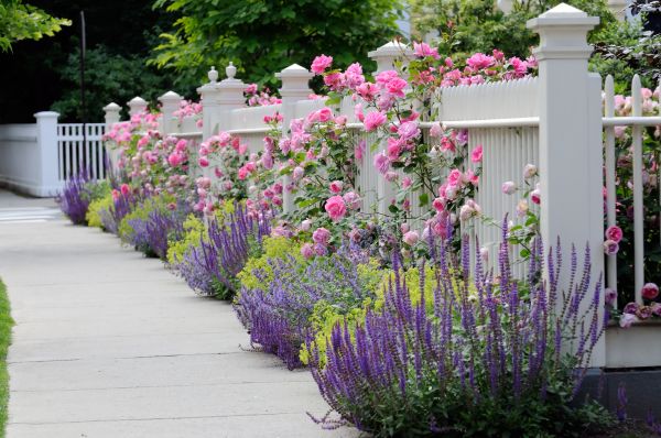Garden Handyman Service in Suwanee