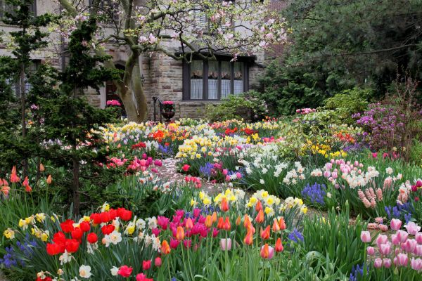 Garden Maintenance Service in Suwanee