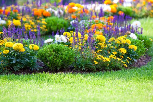 Garden Installation in Suwanee