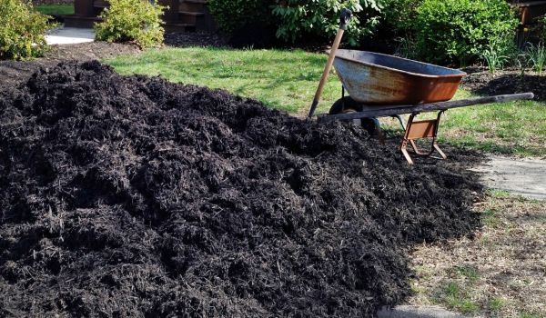 Black Mulch Delivery in Suwanee