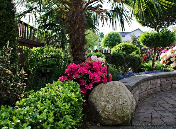 Yard Transformation