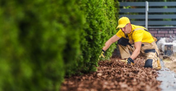 Cypress Mulch Installation in Suwanee