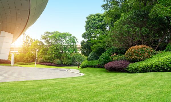 Business Landscape Design in Suwanee