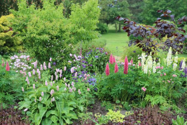 Flower Bed Planting in Suwanee