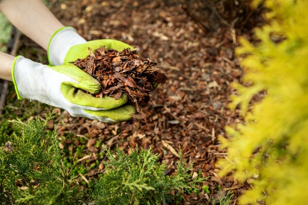 Garden Mulch Delivery in Suwanee