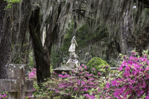 Cemetery Landscaping in Suwanee