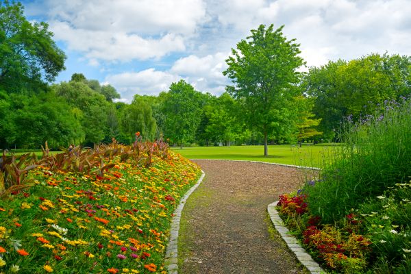Park Landscaping in Suwanee