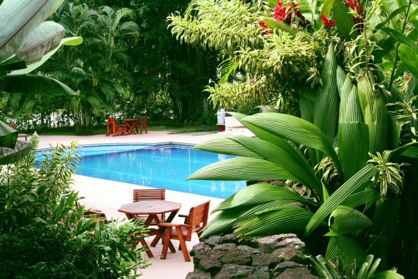 Tropical Garden Landscaping in Suwanee