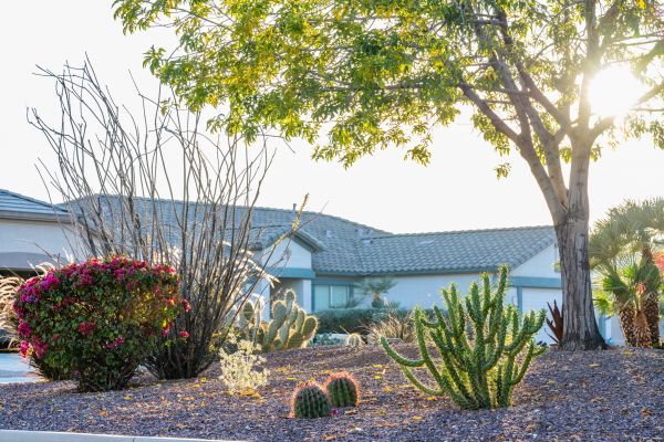 Dryscape Landscaping Service