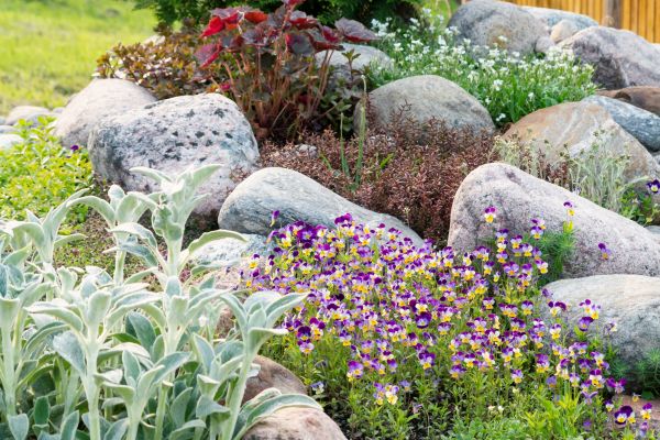 Rock Garden Installation