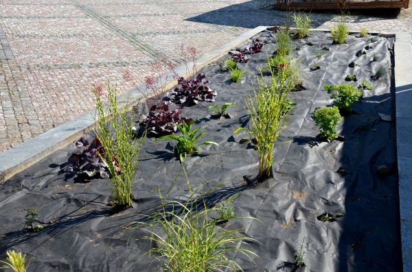 Landscape Fabric Installation Service