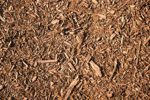 Wood Chips Removal in Suwanee
