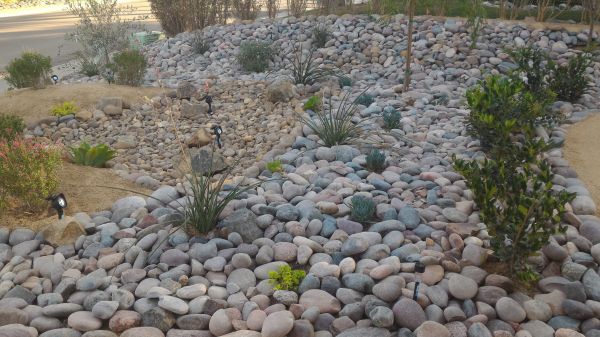 Yard Xeriscaping in Suwanee