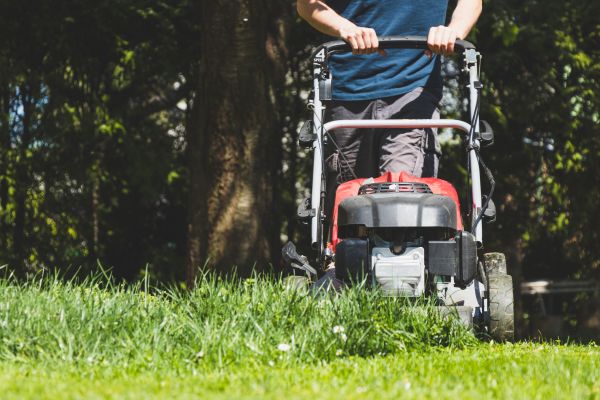 Garden Trimming Service in Suwanee