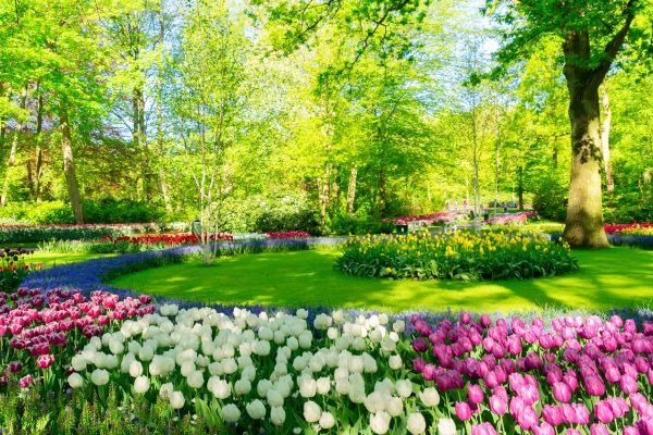 Flower Landscaping in Suwanee