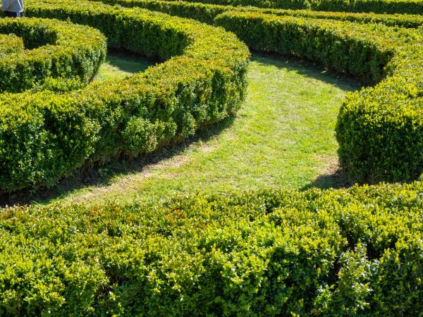 Bush Landscaping Service