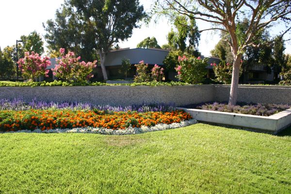 Commercial Landscape Service in Suwanee