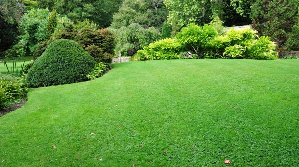 Commercial Landscape Design in Suwanee