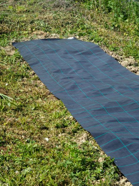 Weed Suppressant Installation in Suwanee