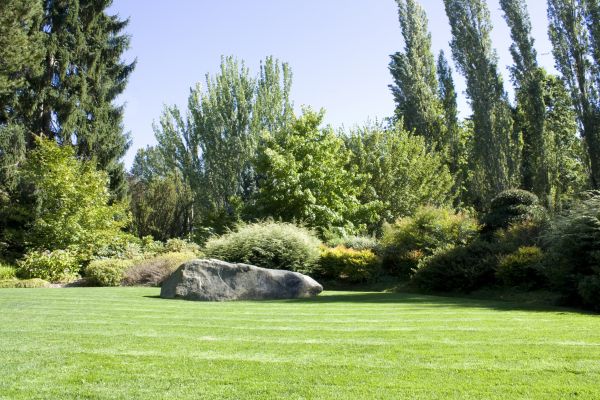 Yard Enlargement in Suwanee