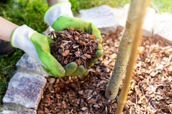 Tree Bark Delivery in Suwanee