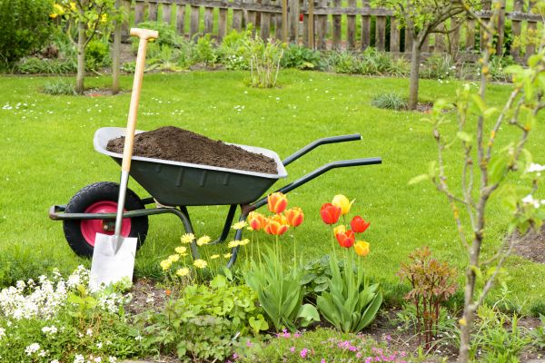 Spring Yard Renovation Service