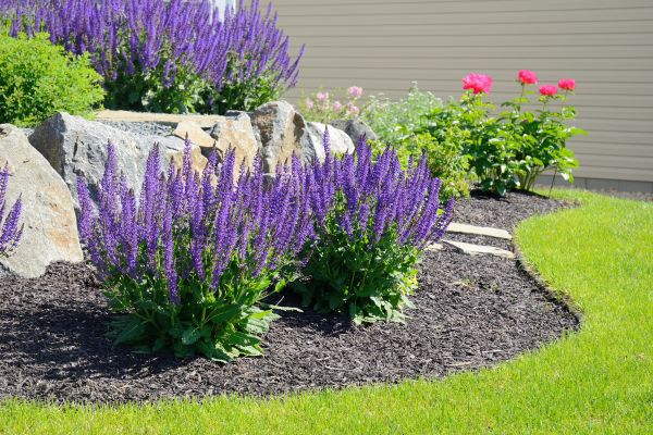 Landscape Planting Service in Suwanee