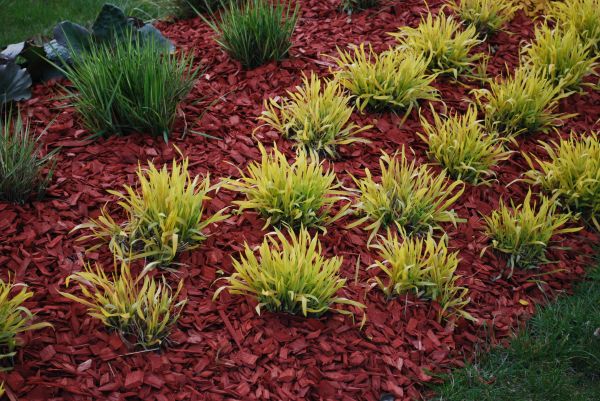 Red Mulch Installation in Suwanee