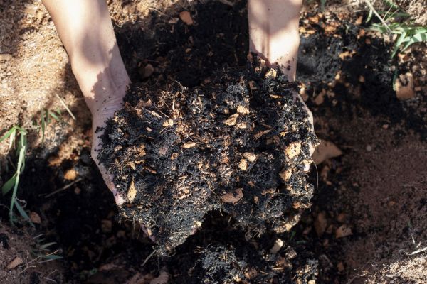 Organic Mulch Installation in Suwanee