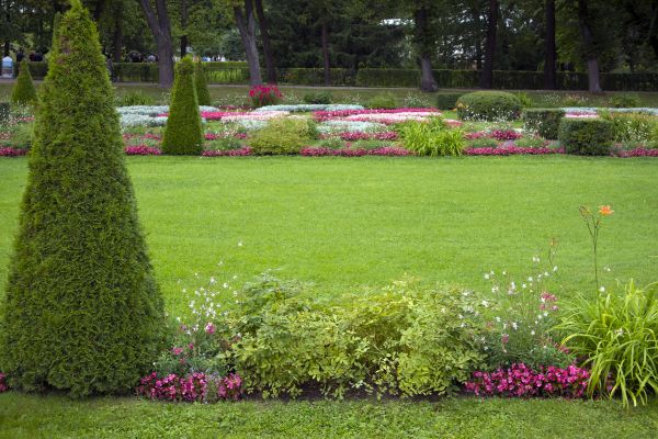 Spring Lawn Renovation