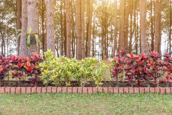 Small Garden Landscaping in Suwanee