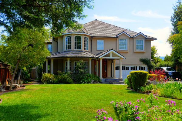 Large Yard Landscaping in Suwanee