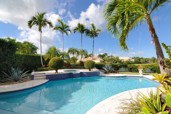 Backyard Pool Landscaping
