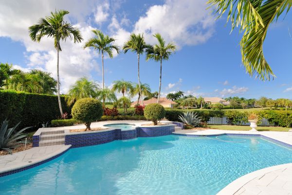 Backyard Oasis Design