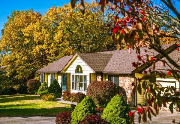 Ranch Landscaping in Suwanee