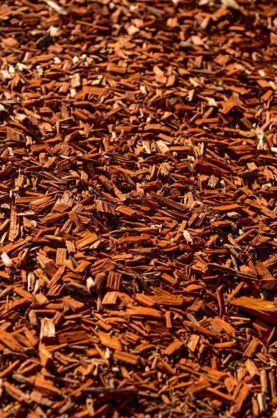 Cedar Mulch Spreading in Suwanee