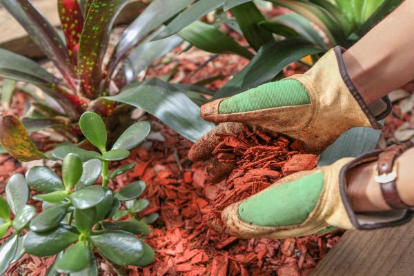 Residential Mulching in Suwanee
