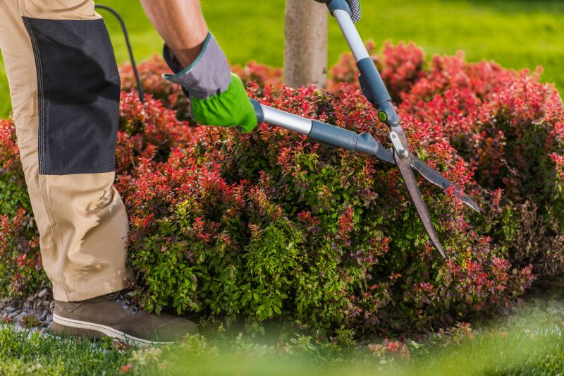 Shrub Care Service