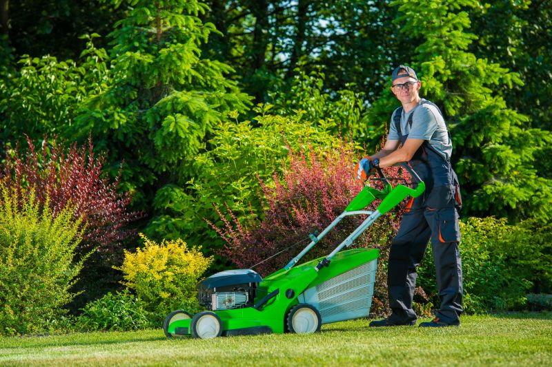 Maintaining a Healthy Lawn